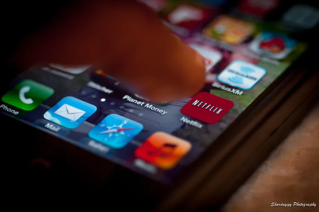 Mercancía con sello Netflix: Mercadotecnia + Propiedad Intelectual